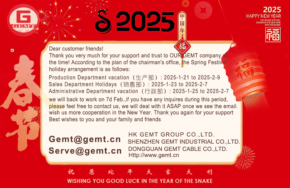 Spring Festival.jpg